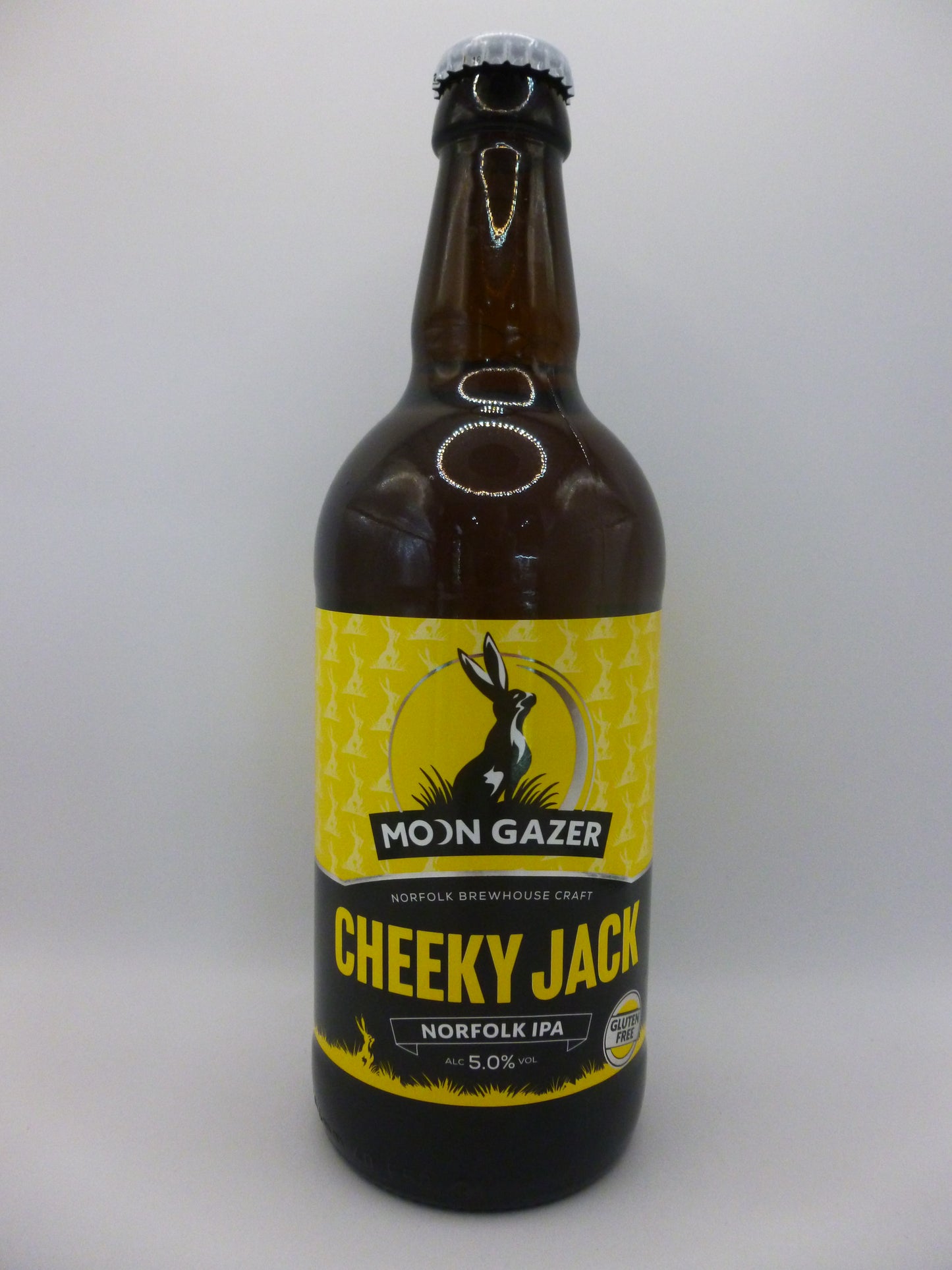 Cheeky Jack 5.0% IPA
