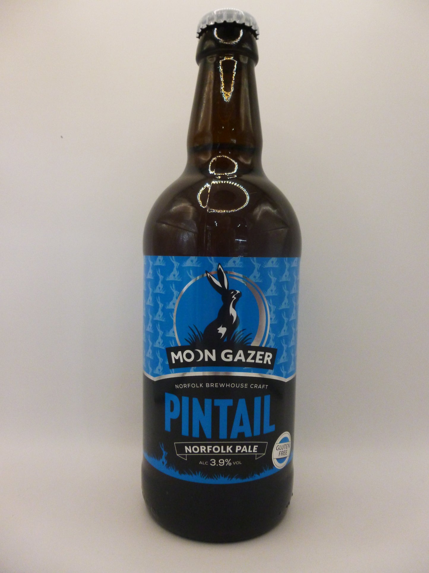 Pintail 3.9% (GF) Pale